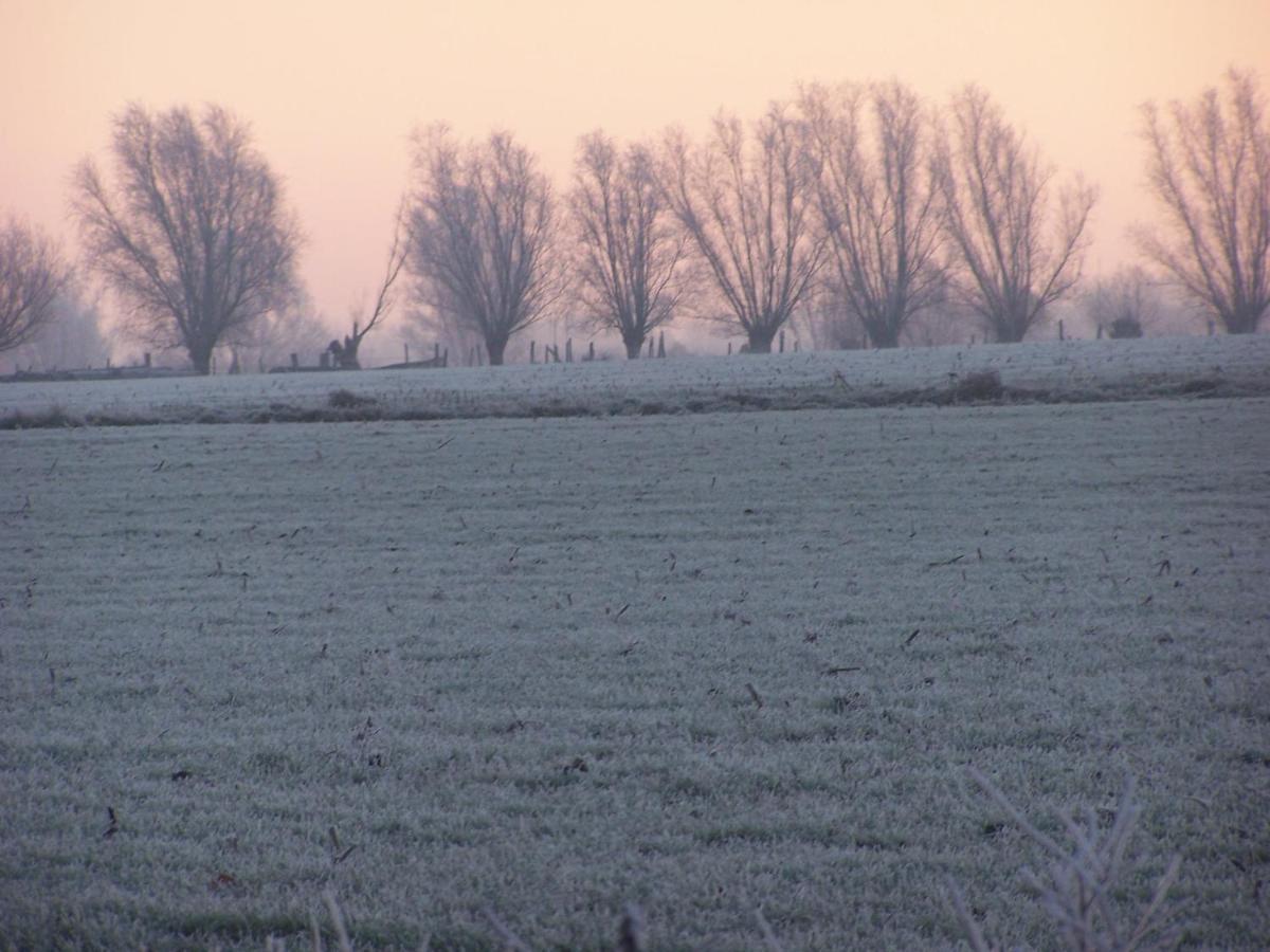 B & B Victors Hof, Met Zwemvijver In Landelijke Setting Lievegem Buitenkant foto