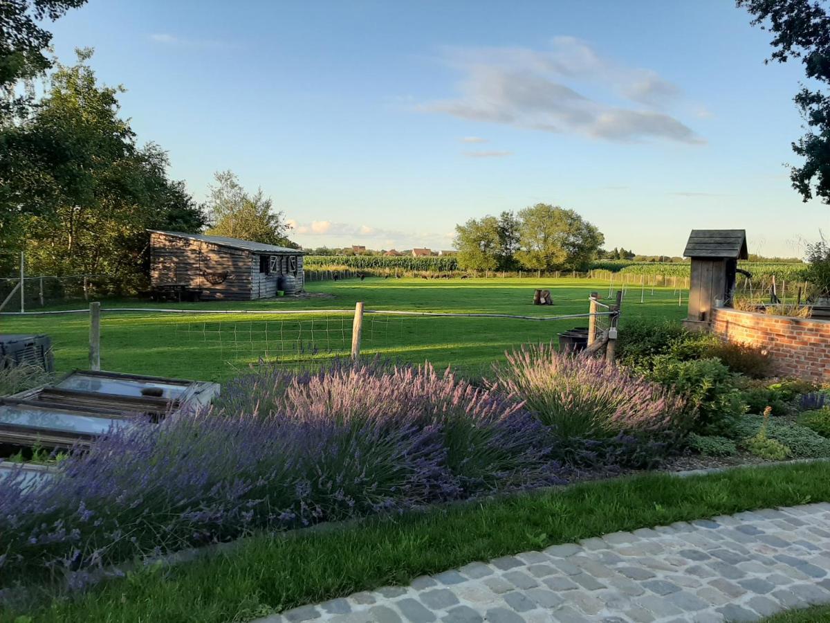 B & B Victors Hof, Met Zwemvijver In Landelijke Setting Lievegem Buitenkant foto