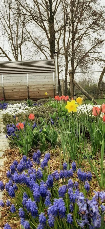 B & B Victors Hof, Met Zwemvijver In Landelijke Setting Lievegem Buitenkant foto