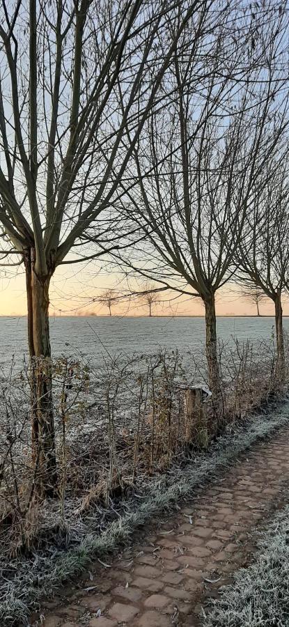 B & B Victors Hof, Met Zwemvijver In Landelijke Setting Lievegem Buitenkant foto