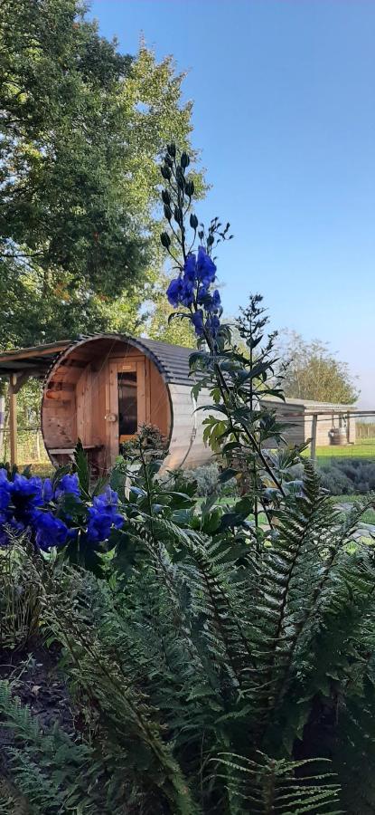 B & B Victors Hof, Met Zwemvijver In Landelijke Setting Lievegem Buitenkant foto